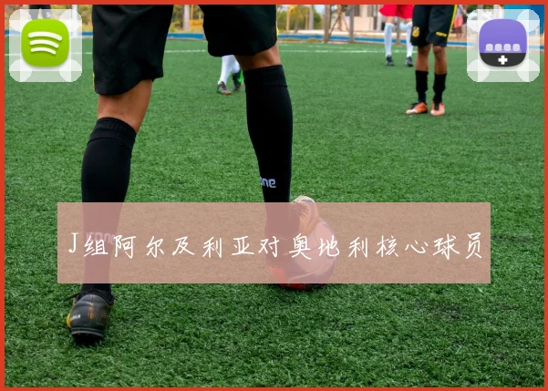 J组阿尔及利亚对奥地利核心球员