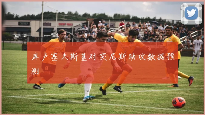 库卢塞夫斯基对突尼斯助攻数据预测