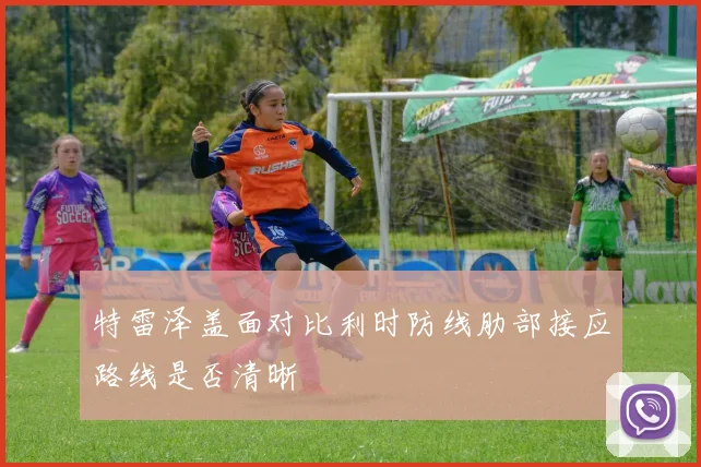 特雷泽盖面对比利时防线肋部接应路线是否清晰